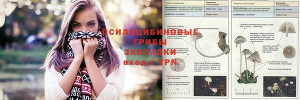 ALPHA-PVP Аркадак